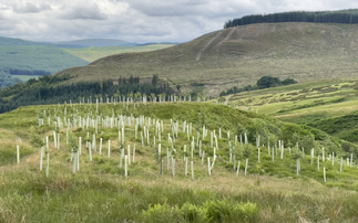 Future Farming Investment Scheme gets £7.4m Scottish government boost