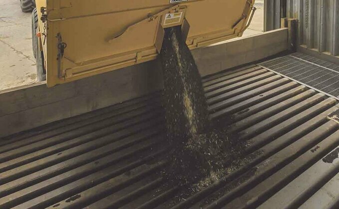 Initial success for Scotland's first organic oilseed rape crop