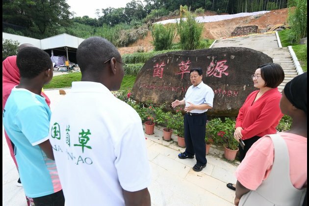 Xi Story: Xi Jinping and China&#039;s &quot;magic grass&quot;