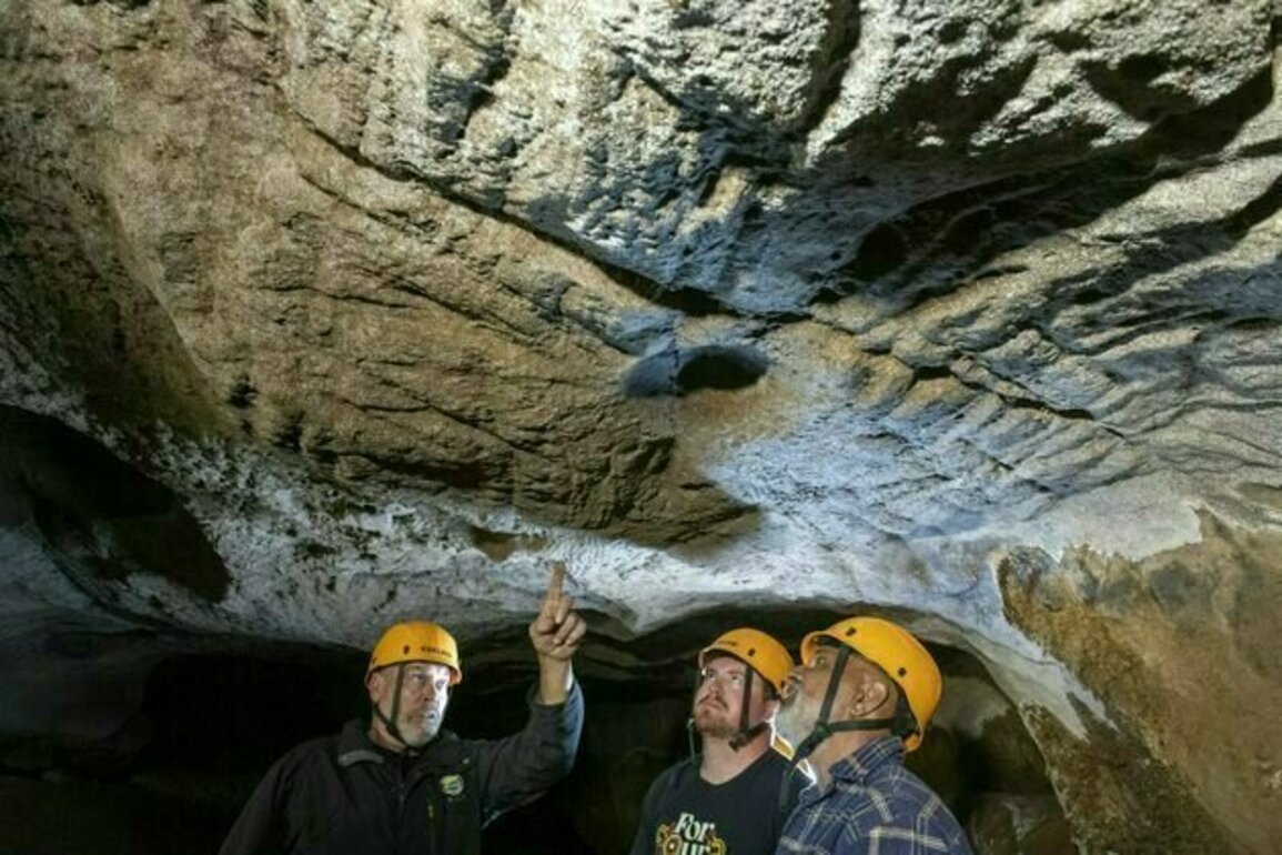 Precious finger traces from First Nations ancestors revealed in a glittering mountain cave in Australia