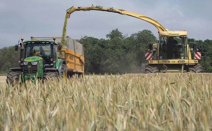 Growing the best wholecrop