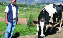 Want more milk, less methane at dairy?