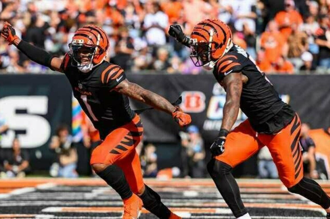 Bengals Crown Their Latest In Royal Line Of Receivers