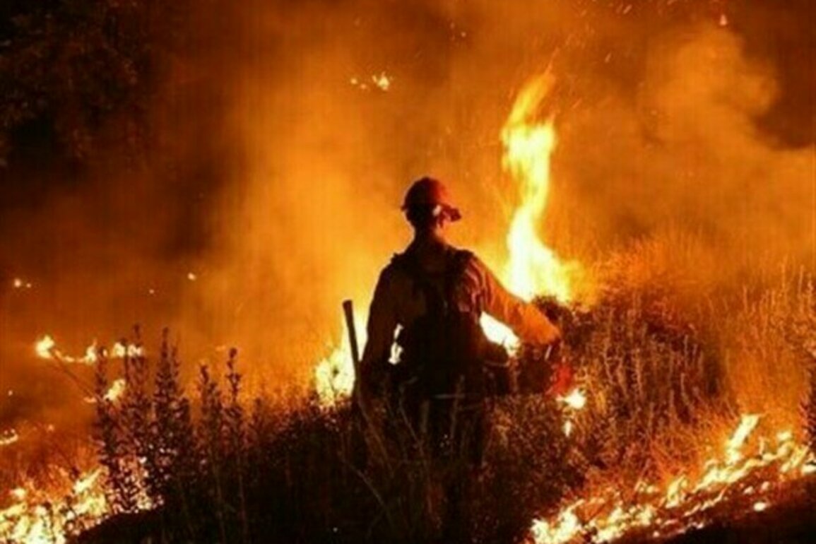 Thousands Told to Stay Home As Spain Forest Fire Rages On