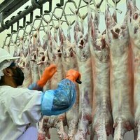 Abu Dhabi slaughterhouses ready to serve public during Eid Al-Adha