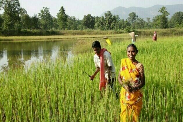 BALCO transforming the lives of farmers in the vicinity