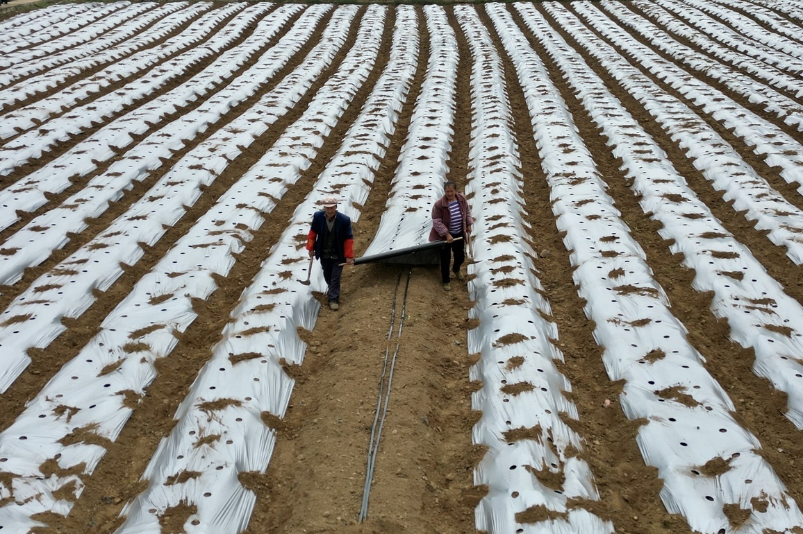 #CHINA-SPRING PLOUGHING (CN)