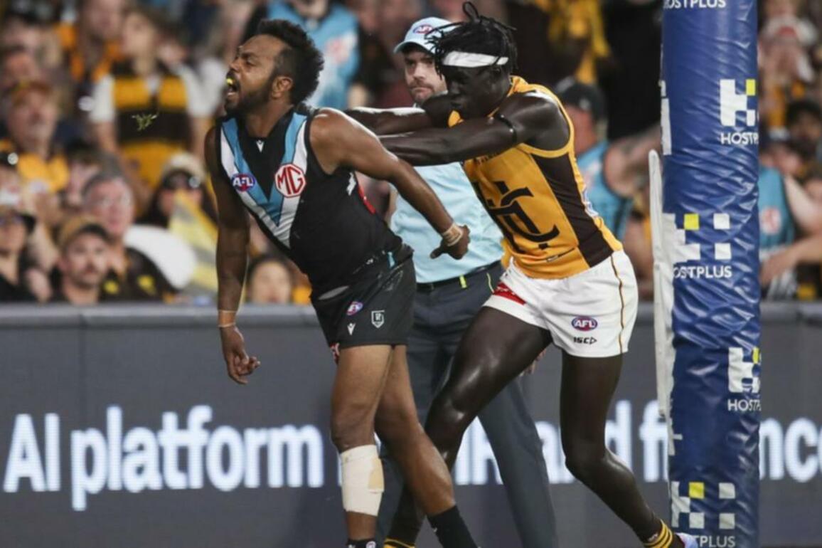 Port forward fuels Hawks rivalry with social media post