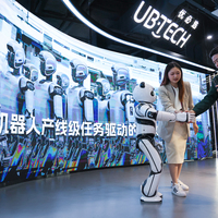 CHINA-GUANGDONG-ROBOT INDUSTRY (CN)