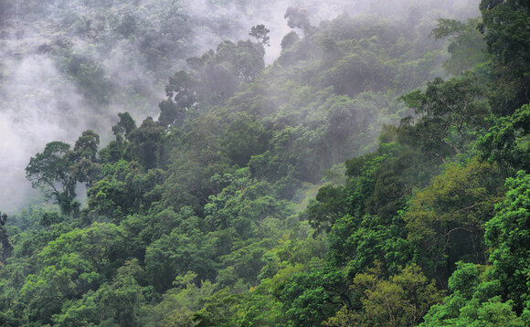 Global Briefing: Colombia to host pre-COP biodiversity summit