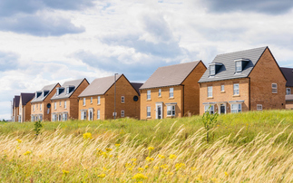 Green groups and businesses urge government to 'pause and rethink' planning overhaul