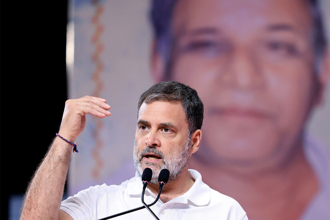 "Refrain from making unsubstantiated statements": DU responds to Rahul Gandhi over caste-based interview allegations