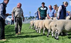 A ringside round up from this year's Westmorland County Show 
