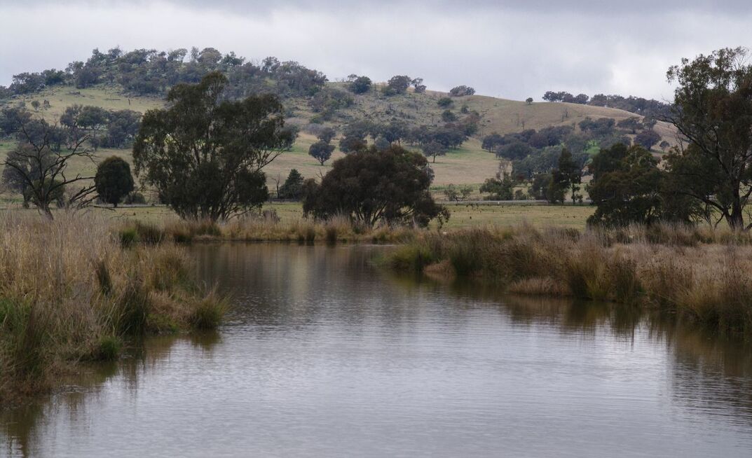 Enhancing on-farm natural capital has the potential to significantly increase the production and profit from livestock enterprises.