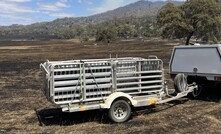 Agriculture Victoria has resources available to farmers impacted by recent devastating fires in Victoria.