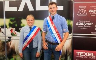 Young shepherds shine at NSA Sheep event