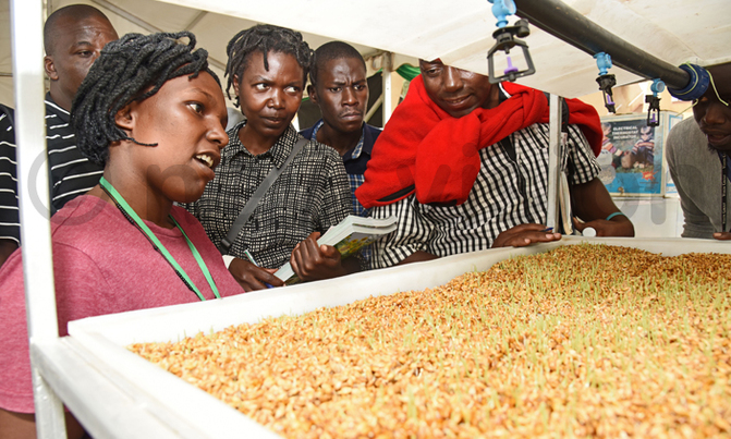 In Pictures: Biggest farmers' Expo at Namboole In Pictures: Biggest farmers' Expo at Namboole