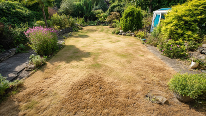 Keeping gardens healthy and homes protected through unpredictable weather