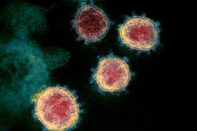 &#039;Superspreader&#039; Events May Be Responsible for 80% of COVID Infections