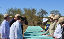 Analysts join TNG directors at the Mount Peake site in the Northern Territory, Australia