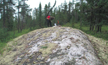 The Cancet pegmatites outcrop at services