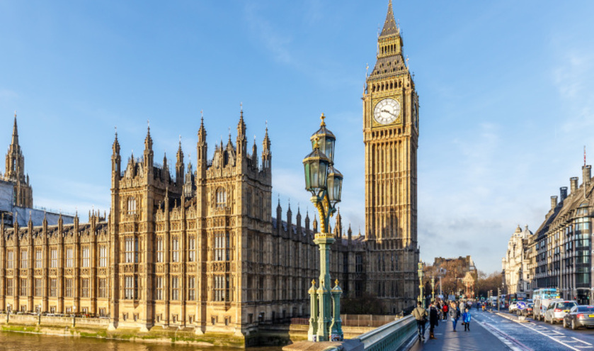 Peers push back on committee system ban