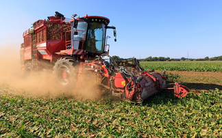  Top tips for autumn sugar beet management