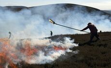 Wildfire partnership urged after Green Cleugh Blaze threatened Pentland Hills
