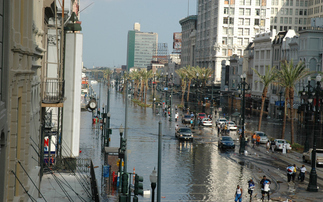 Global Briefing: New Orleans facing 'terminal condition' as wetland degradation worsens and sea-level rises 