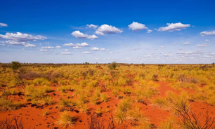 Mine development on its way in this area near Laverton, WA