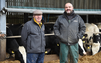 Foot health in the dry cow group