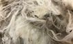 The wool industry has a new direction following last week's AWI AGM.