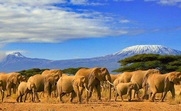 How asset managers are overcoming the challenges of biodiversity datasets