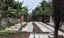  Precipitate is preparing to drill at its Pueblo Grande project in the Dominican Republic