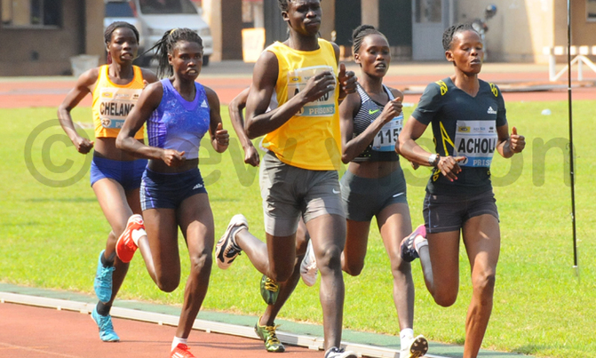 Athletes in race for Rio Olympics slots Athletes in race for Rio Olympics slots