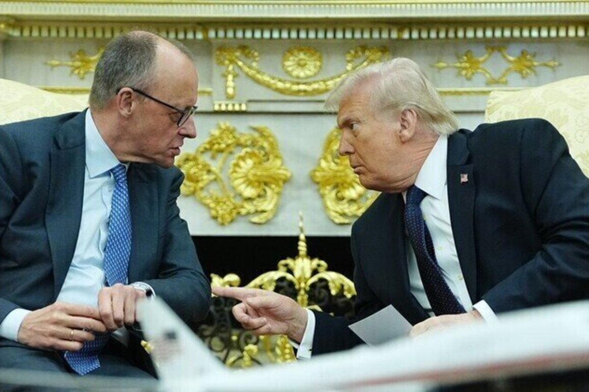 Merz better focus on ending Ukraine conflict  Trump