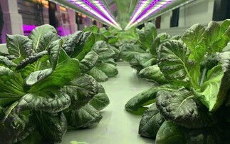 Fields, greenhouses or vertical farms: What is the best way to grow food in a changing climate?