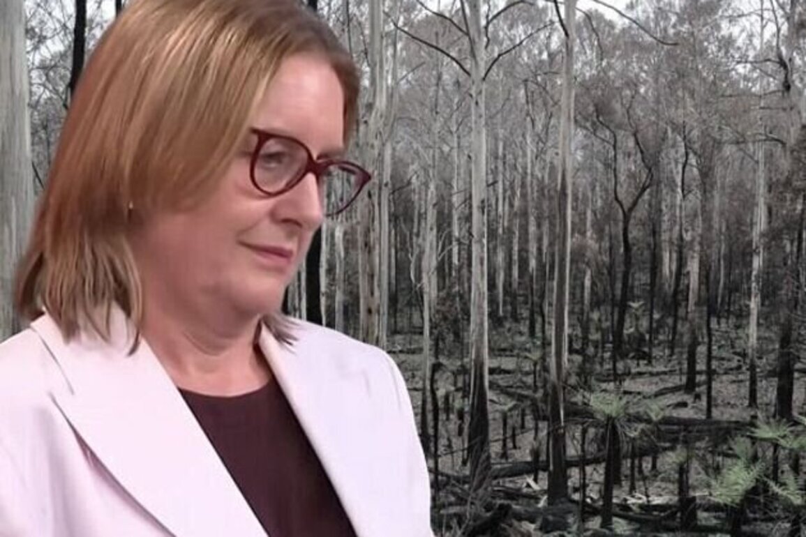 Victorias wildlife pays the price for Labors bushfire failures