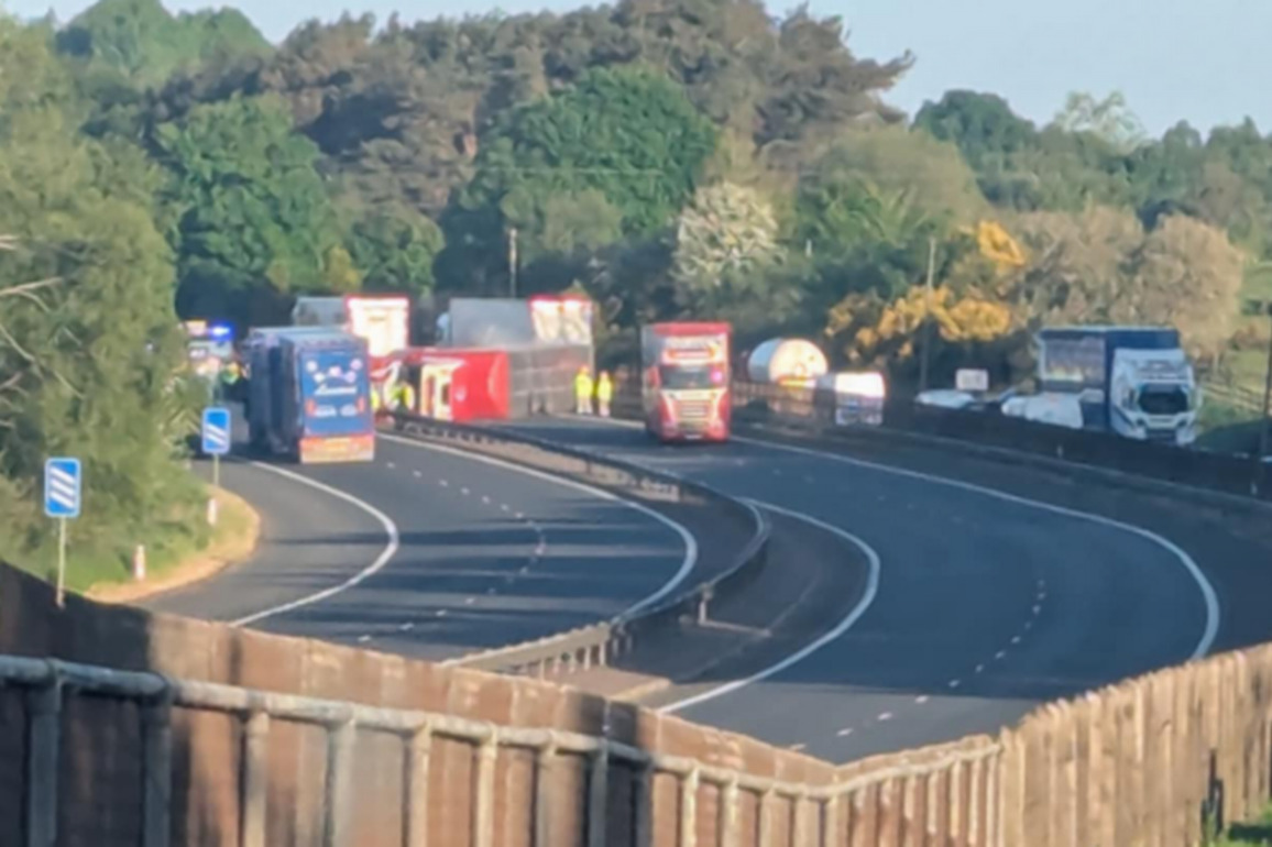 M1 closure latest as PSNI issue update on cattle recovery