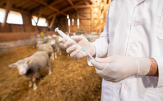 Gov not 'adequately prepared' for the most severe animal disease outbreaks, report warns