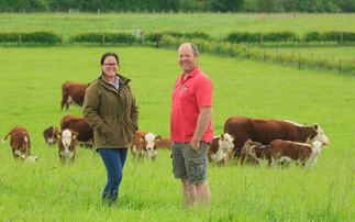 First generation farmers enjoy success with high performance Herefords
