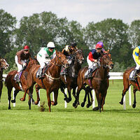 Historic Thurles Racecourse in Ireland ceases operations