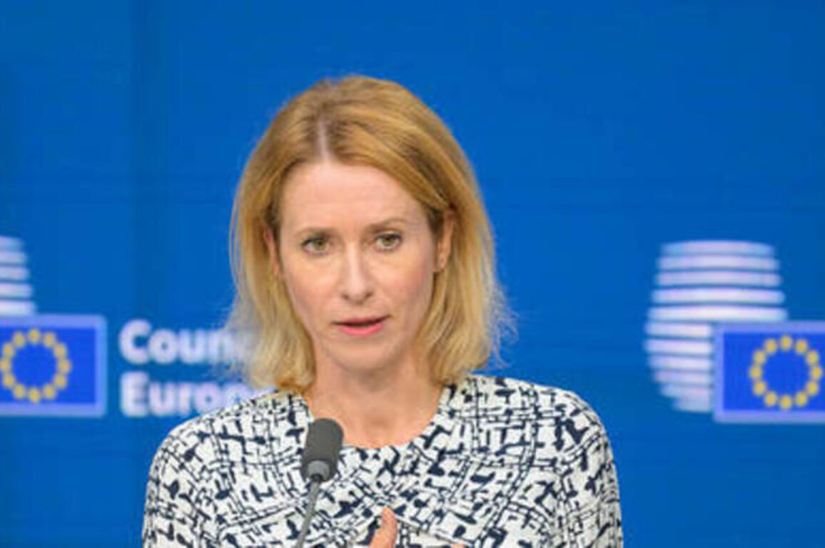 US still EU's 'biggest ally' - bloc's foreign policy chief