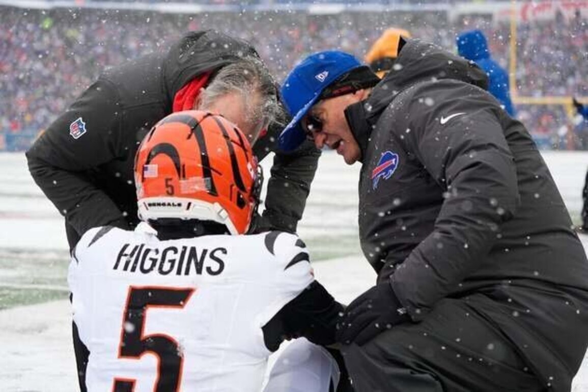 Bengals face more uncertainty with WR Tee Higgins, DE Trey Hendrickson