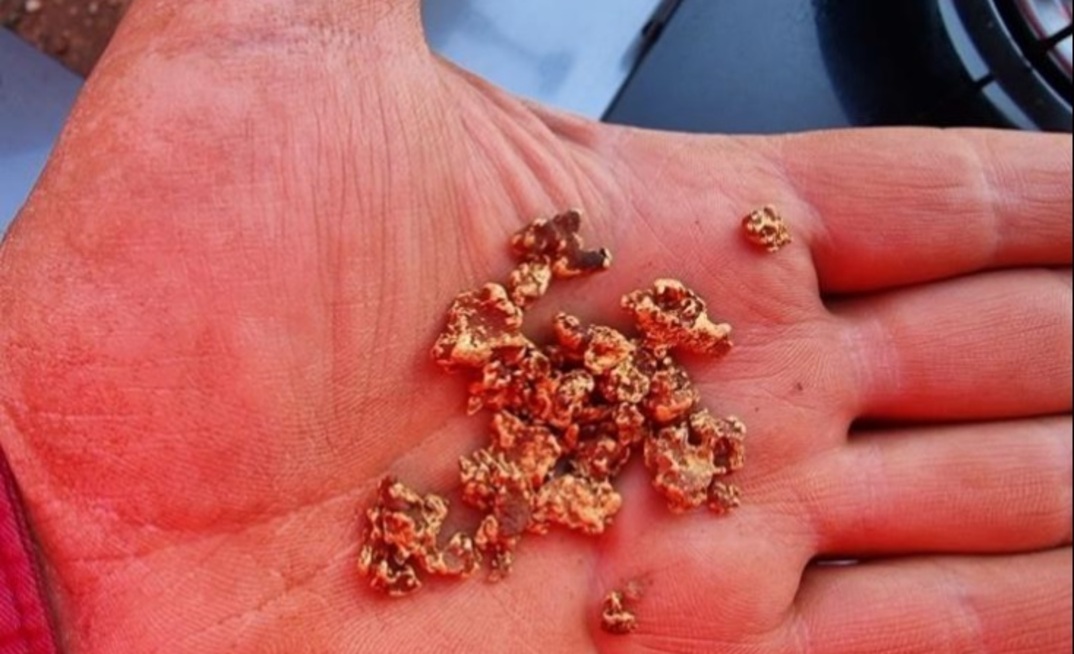 Great Western nuggets