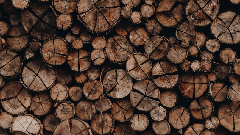 Preferred by Nature and iov42 launch 'Timber Chain'  to improve transparency and efficiency across timber commodity supply