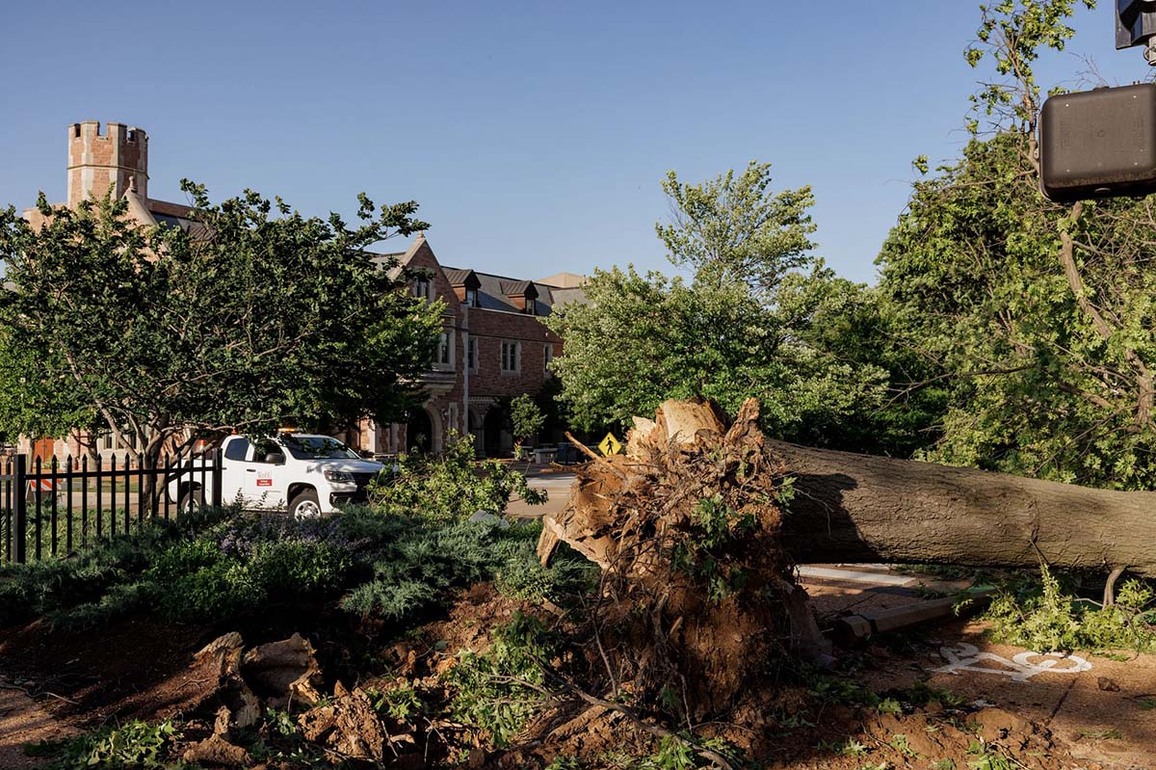 WashU community joins neighbors in tornado recovery - The Source - WashU