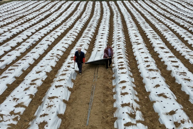 #CHINA-SPRING PLOUGHING (CN)