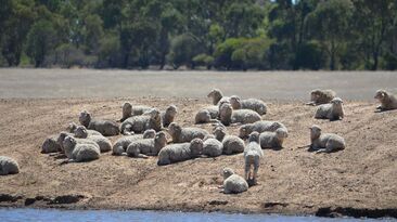 March saw downpours in many parts of south-eastern Australia, replenishing ground water supplies. 