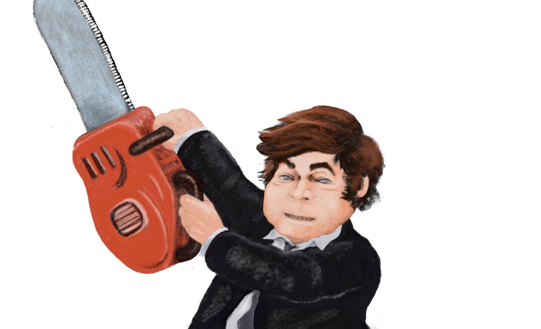 Milei's campaign was based on cutting unnecessary state spending.